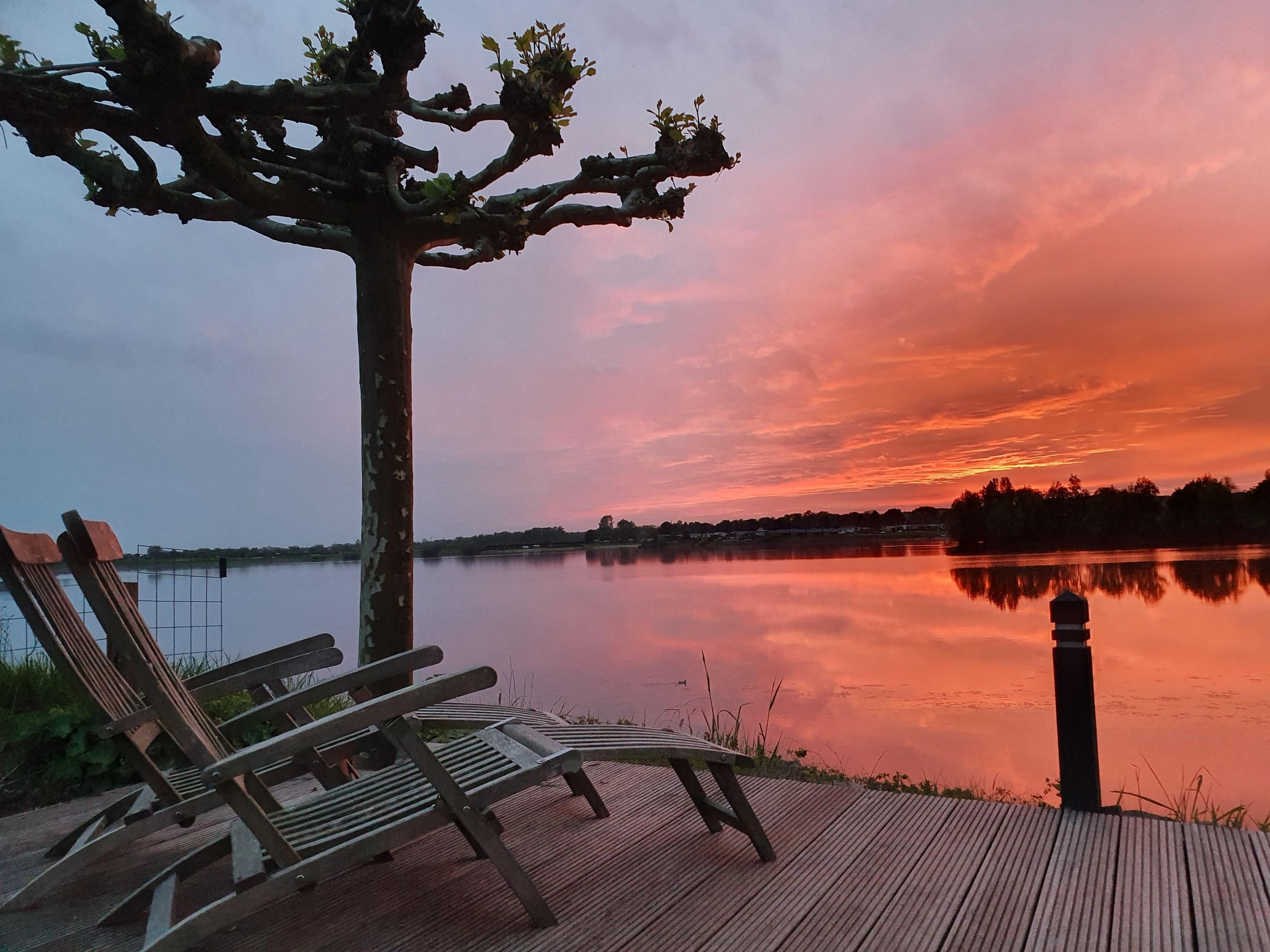 Foto 45 van Meerkoet 15