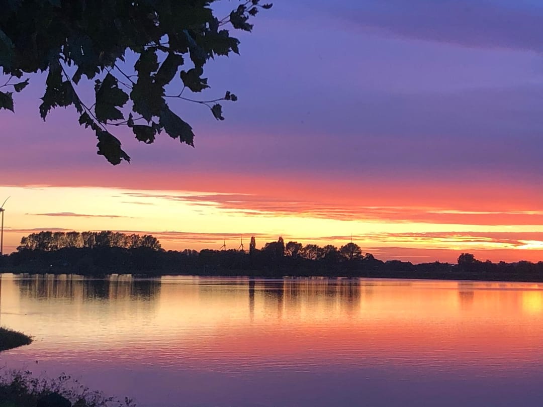 Foto 46 van Meerkoet 15