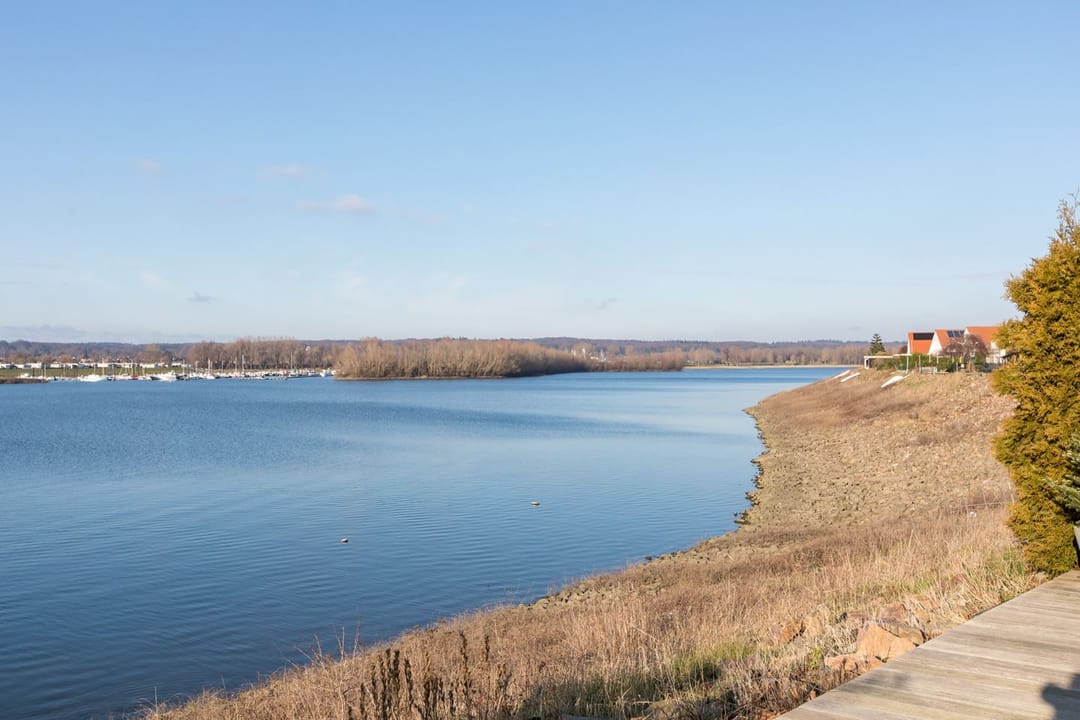 Foto 47 van Meerkoet 15