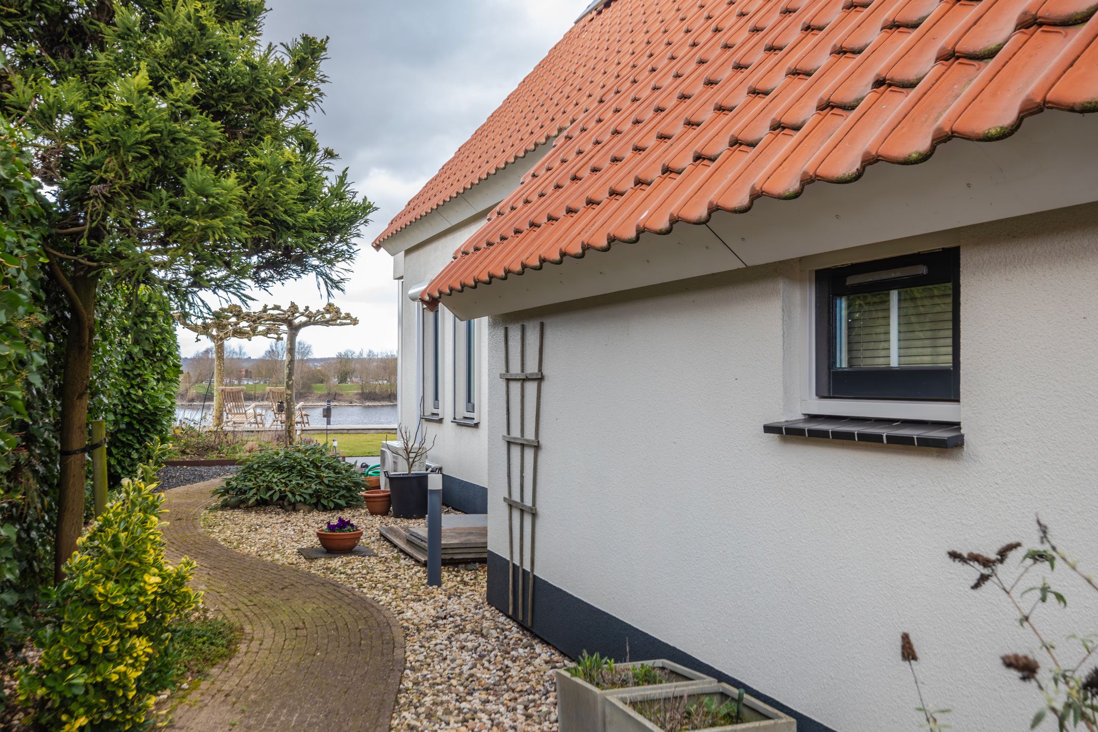 Foto 48 van Meerkoet 15