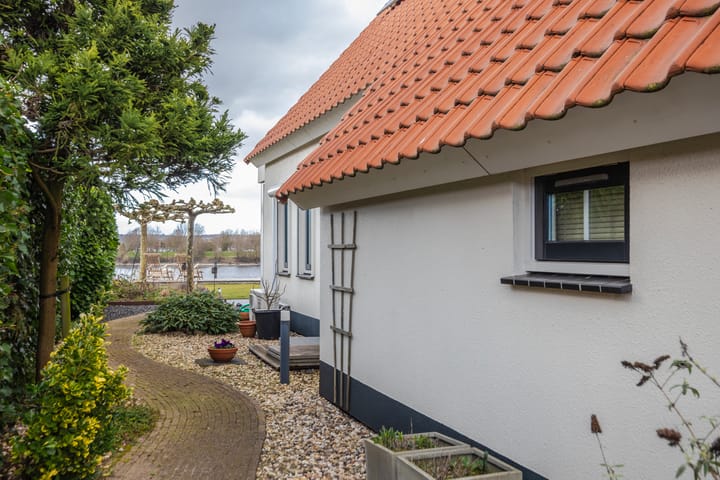 Foto 48 van Meerkoet 15