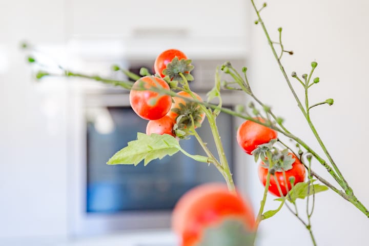 Foto 16 van De Grutto 3