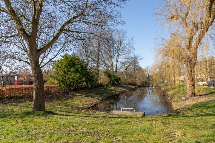 Photo 32 of Zwanensingel 108