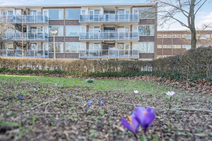 Foto 38 van Julianaplantsoen 190