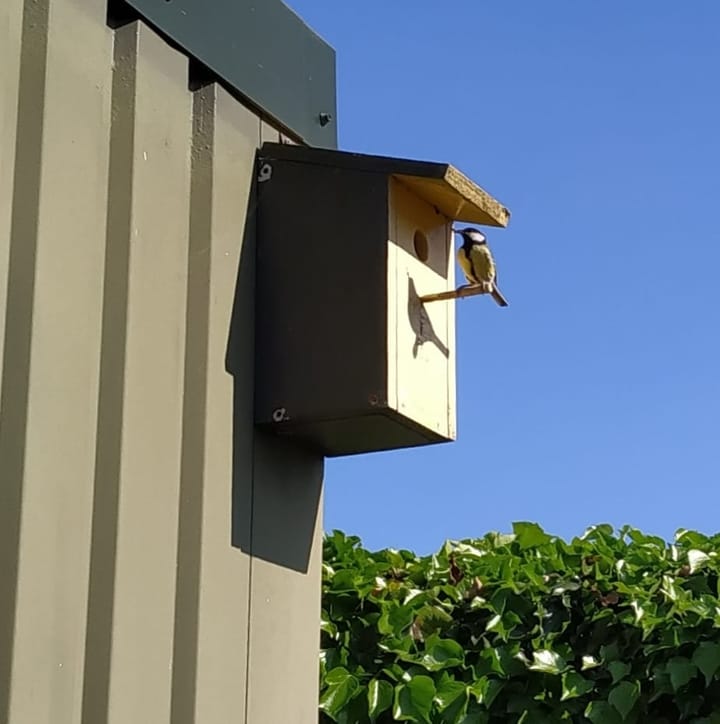 Foto 5 van Jonkerstraat 32