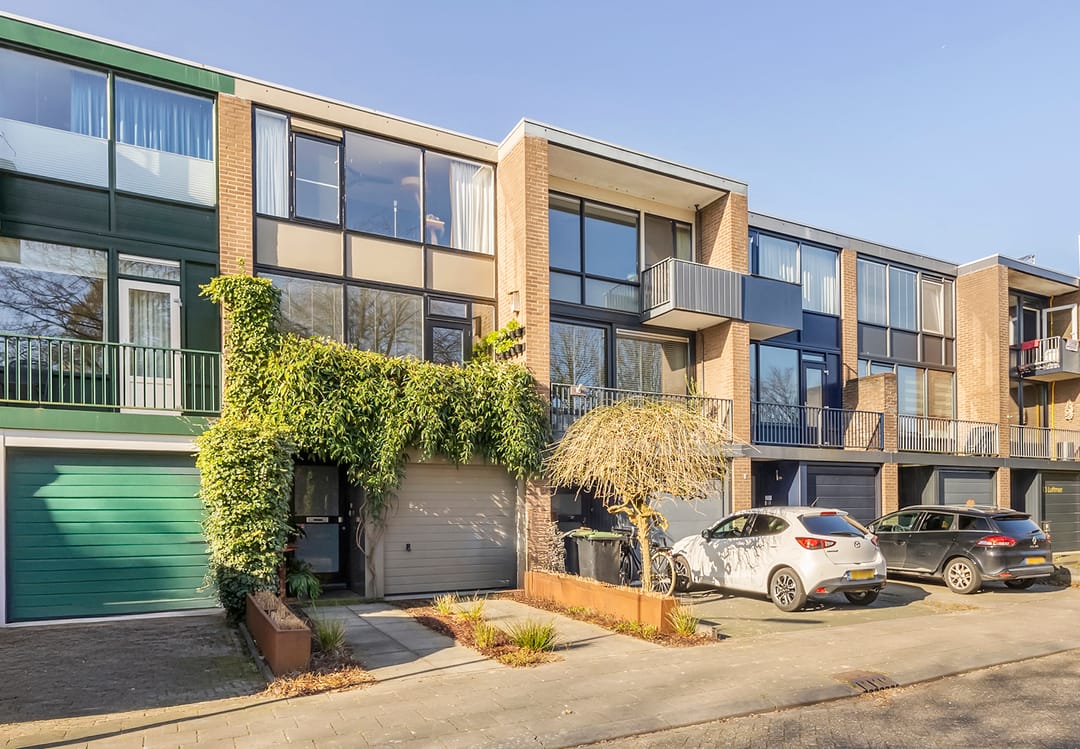 Foto 1 van Palissade 5