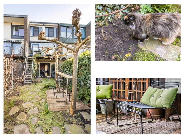 Foto 8 van Palissade 5