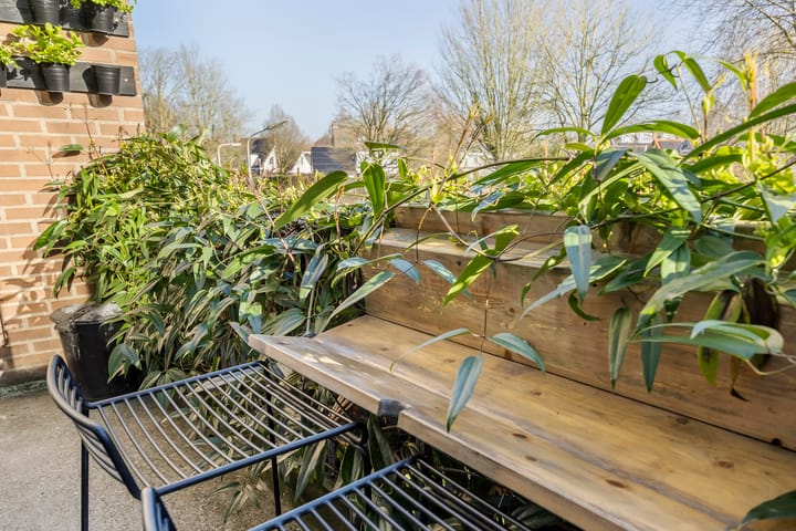 Foto 18 van Palissade 5