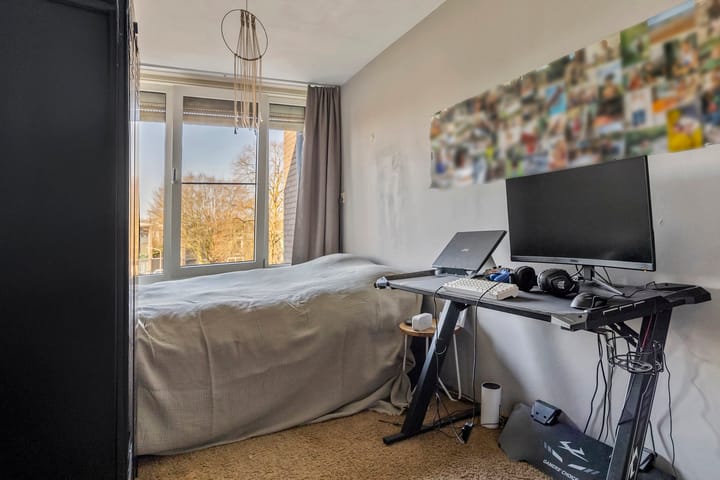 Foto 24 van Palissade 5