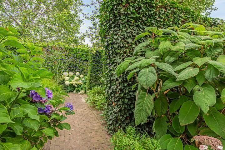 Foto 41 van Karrevracht 11