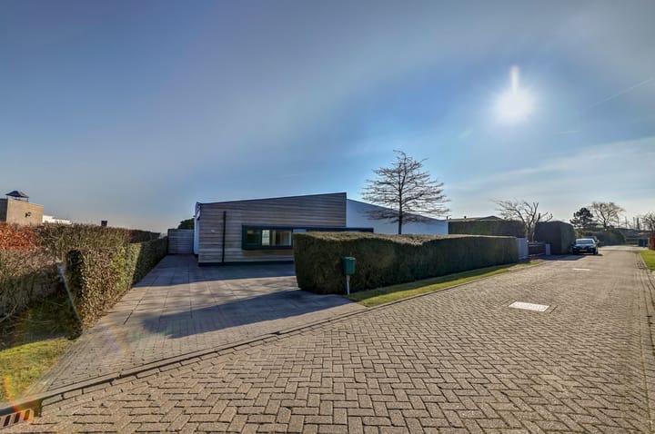 Foto 5 van Trintellaan 16