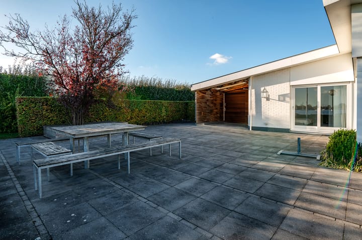 Foto 10 van Trintellaan 16