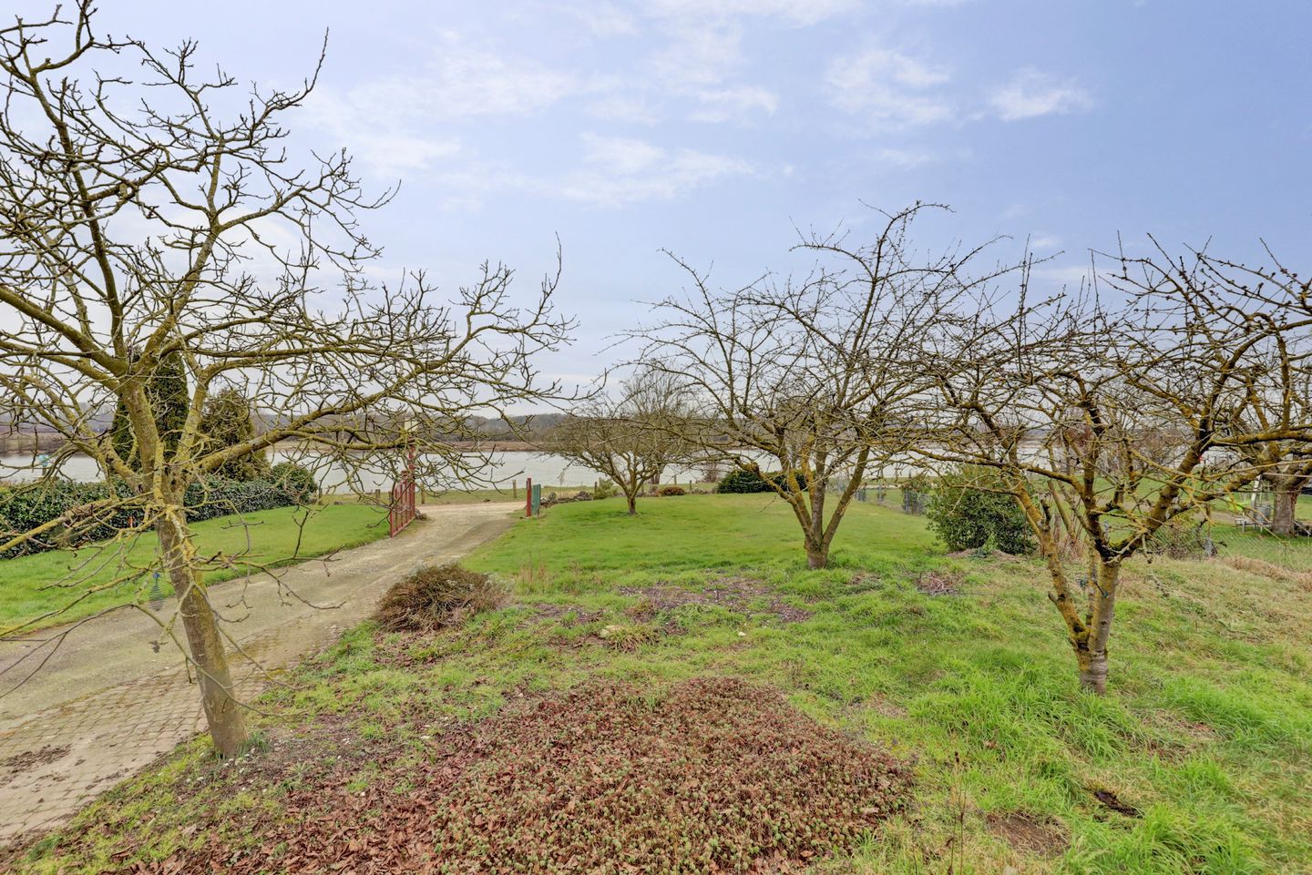 Foto 5 van Maasstraat 33-A