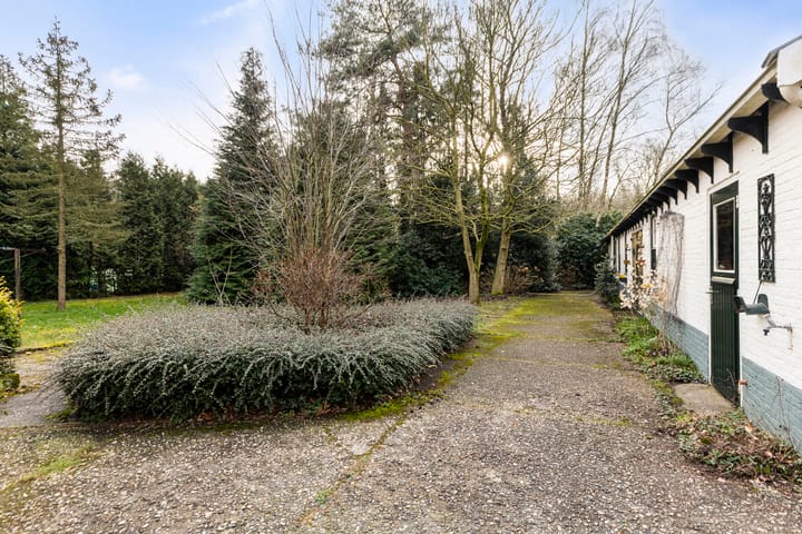 Foto 3 van Puntersweg 2-A