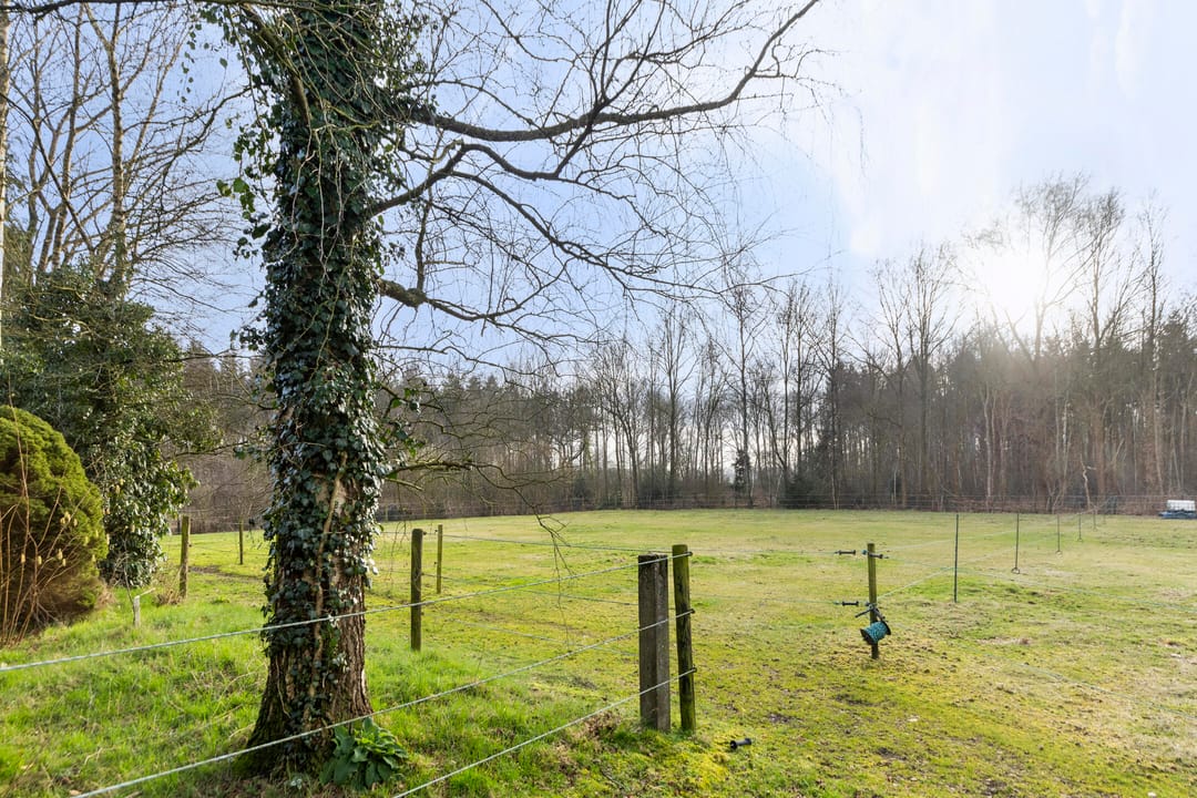 Foto 46 van Puntersweg 2-A