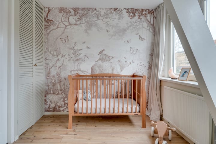 Foto 31 van Zwaluwstraat 10