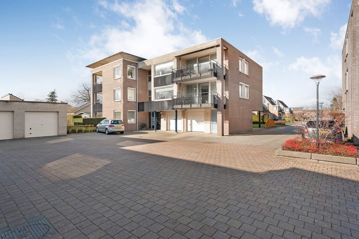 Foto 2 van Hondsroos 32-A