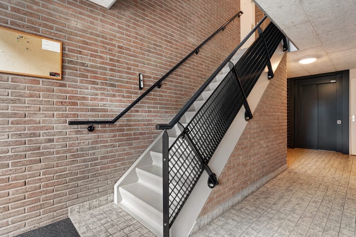 Foto 5 van Hondsroos 32-A