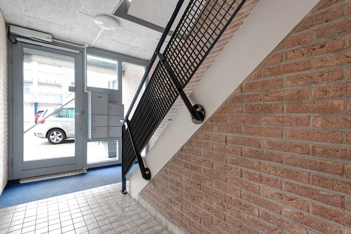 Foto 6 van Hondsroos 32-A