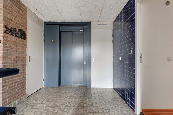 Foto 8 van Hondsroos 32-A