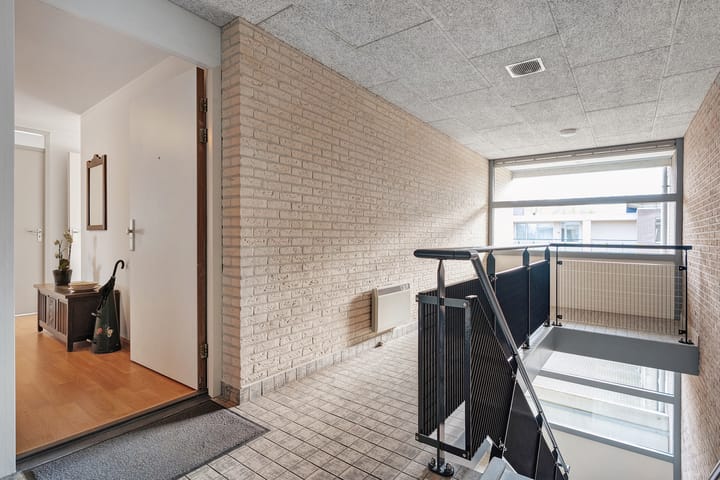 Foto 9 van Hondsroos 32-A