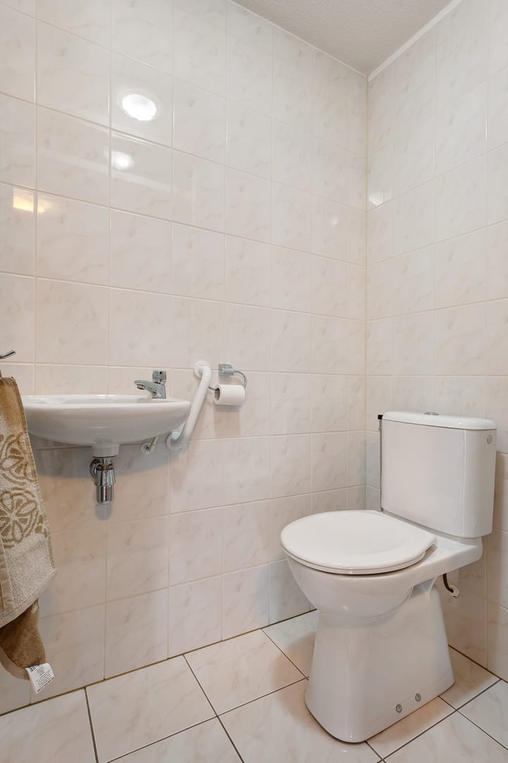 Foto 12 van Hondsroos 32-A