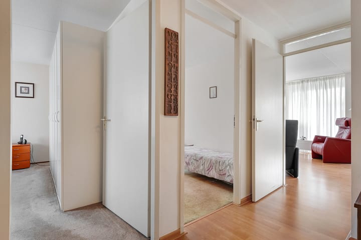 Foto 13 van Hondsroos 32-A