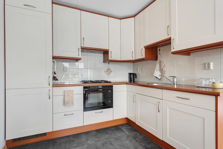 Foto 20 van Hondsroos 32-A