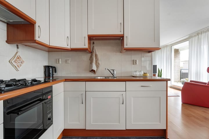 Foto 21 van Hondsroos 32-A