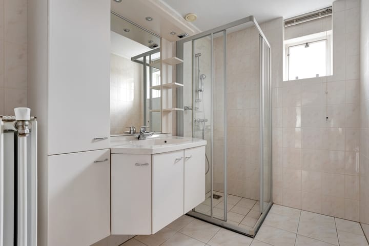 Foto 27 van Hondsroos 32-A