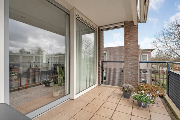 Foto 33 van Hondsroos 32-A