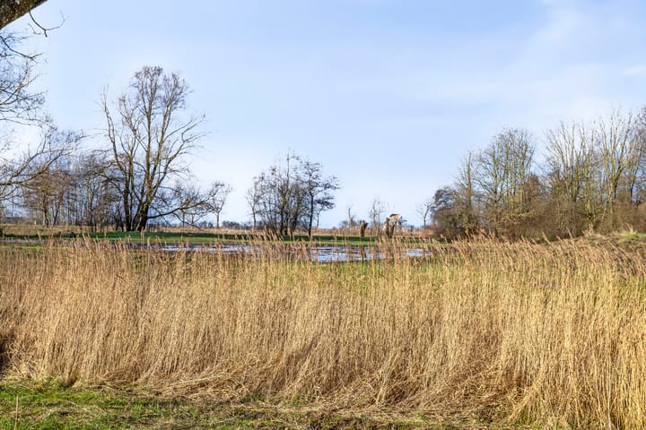 Foto 5 van Mudaheerd 102