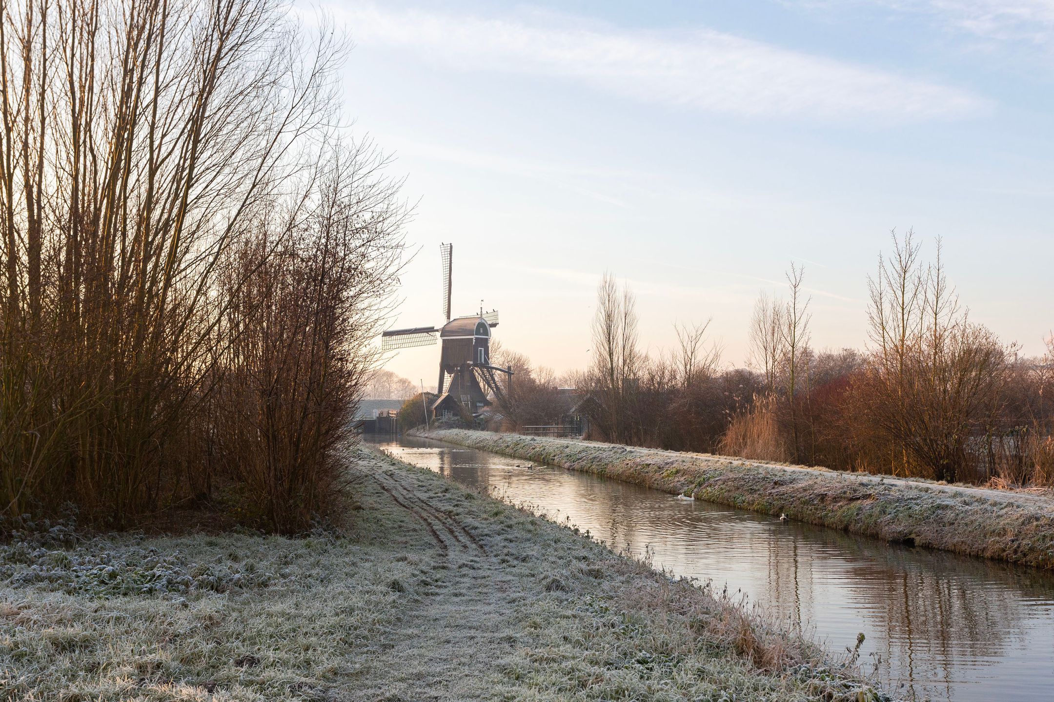 Foto 24 van Voorwaartsveld 60