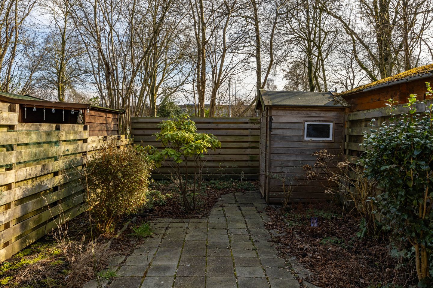 Foto 14 van Sloep 31