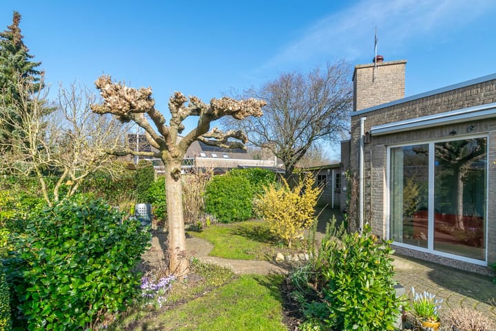 Foto 41 van Zwanebloem 9