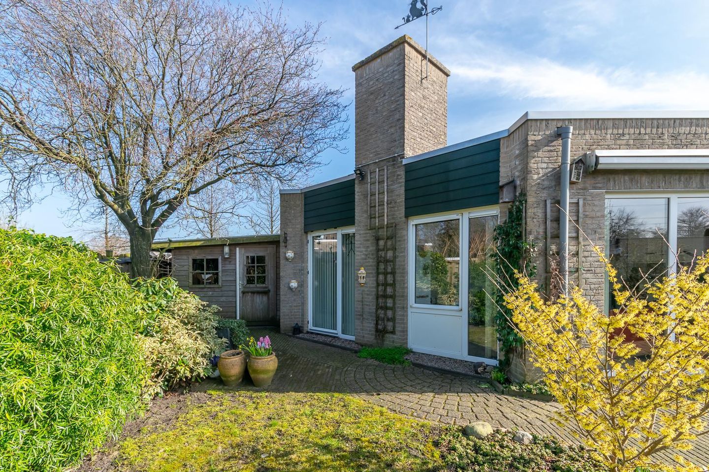 Foto 34 van Zwanebloem 9