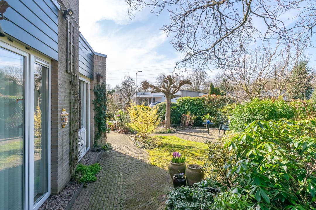 Foto 37 van Zwanebloem 9