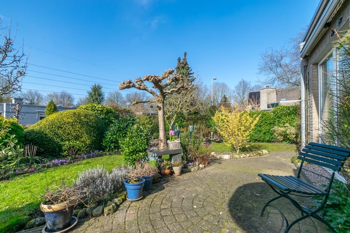 Foto 33 van Zwanebloem 9