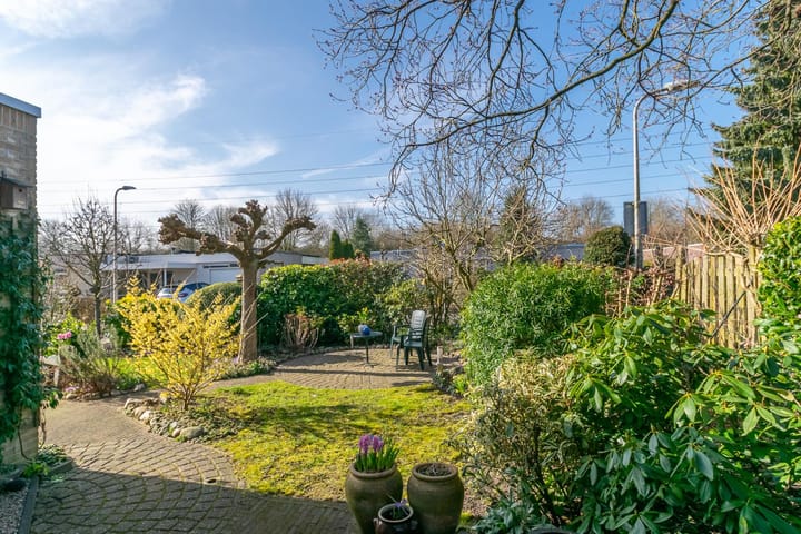 Foto 36 van Zwanebloem 9