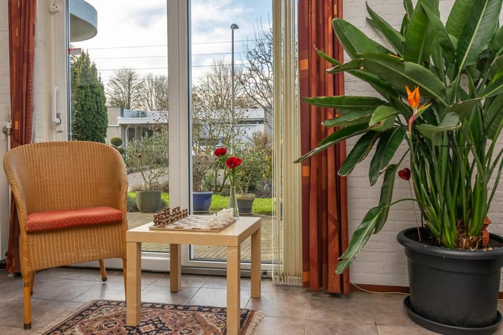 Foto 10 van Zwanebloem 9