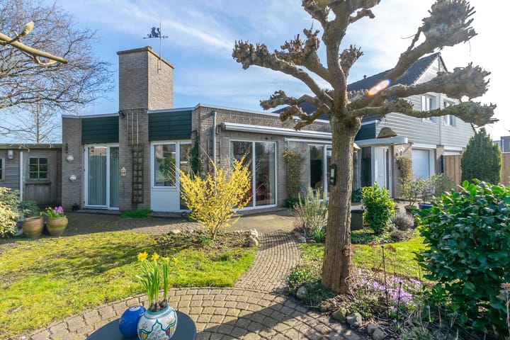 Foto 2 van Zwanebloem 9