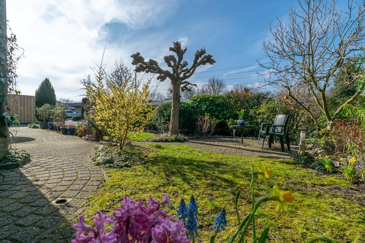 Foto 38 van Zwanebloem 9