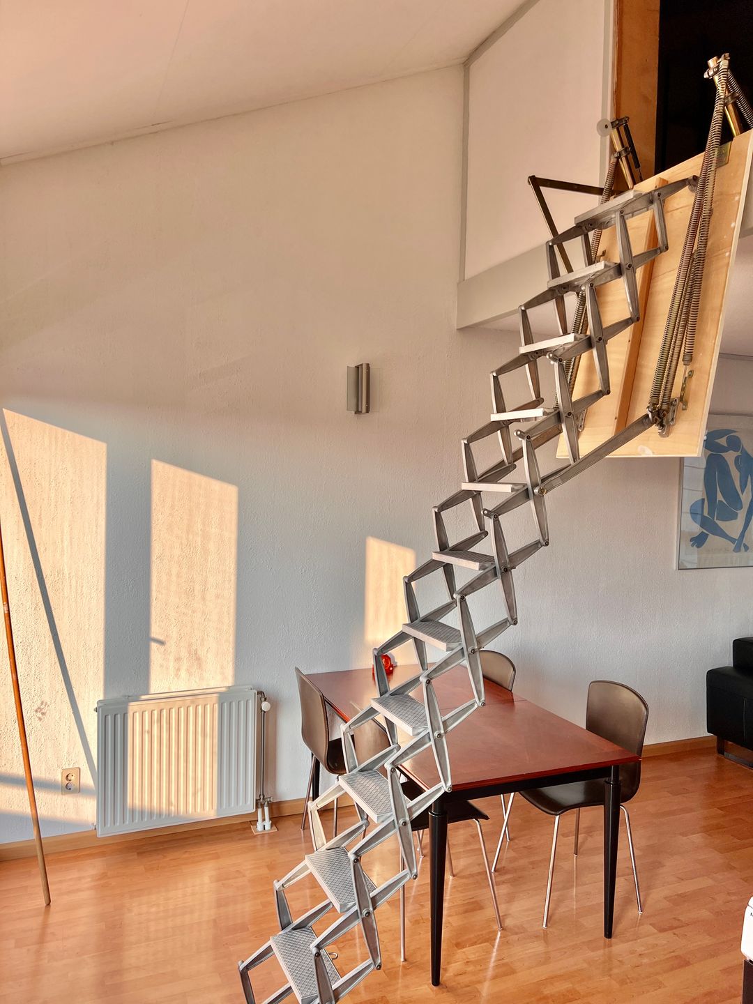 Photo 16 of Williamsperenlaan 37