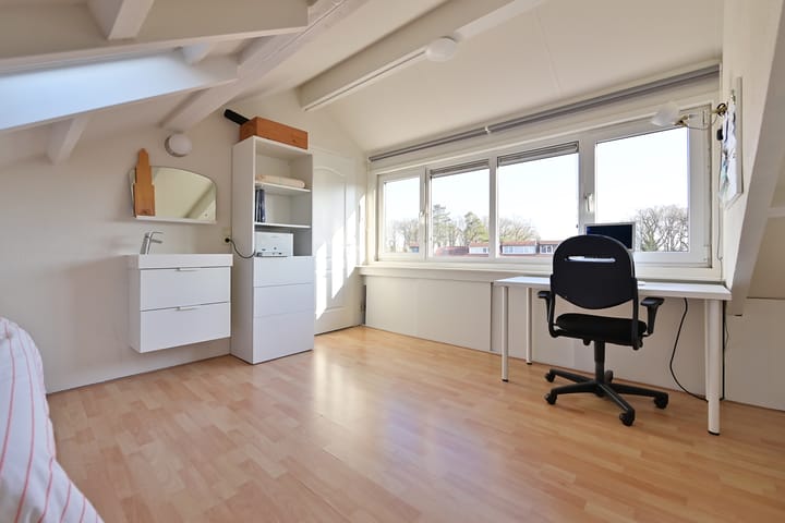 Foto 17 van Witte de Withlaan 2