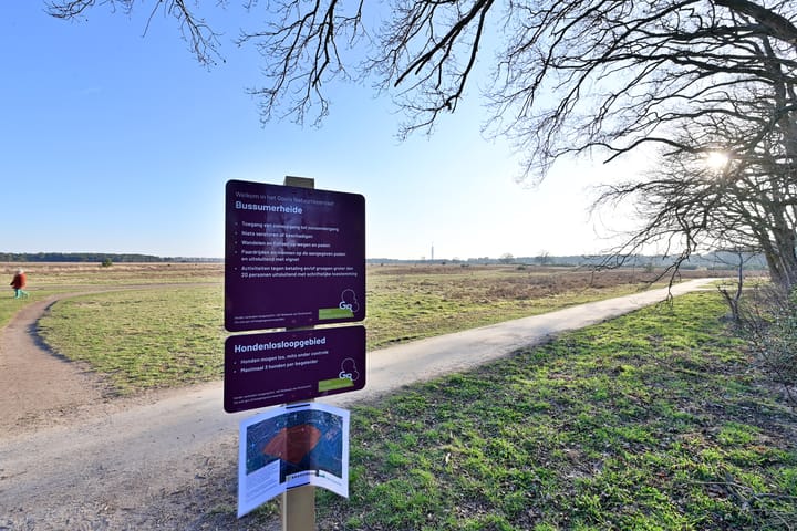 Foto 20 van Witte de Withlaan 2