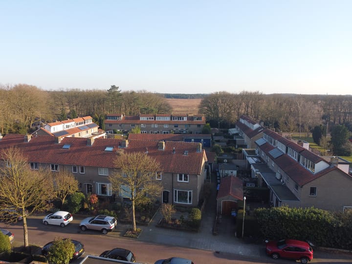 Foto 21 van Witte de Withlaan 2