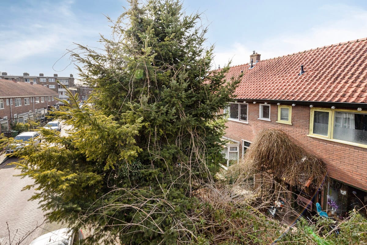 Foto 36 van Forelstraat 82