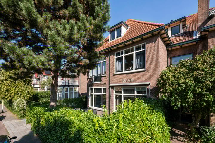 Mecklenburglaan 66