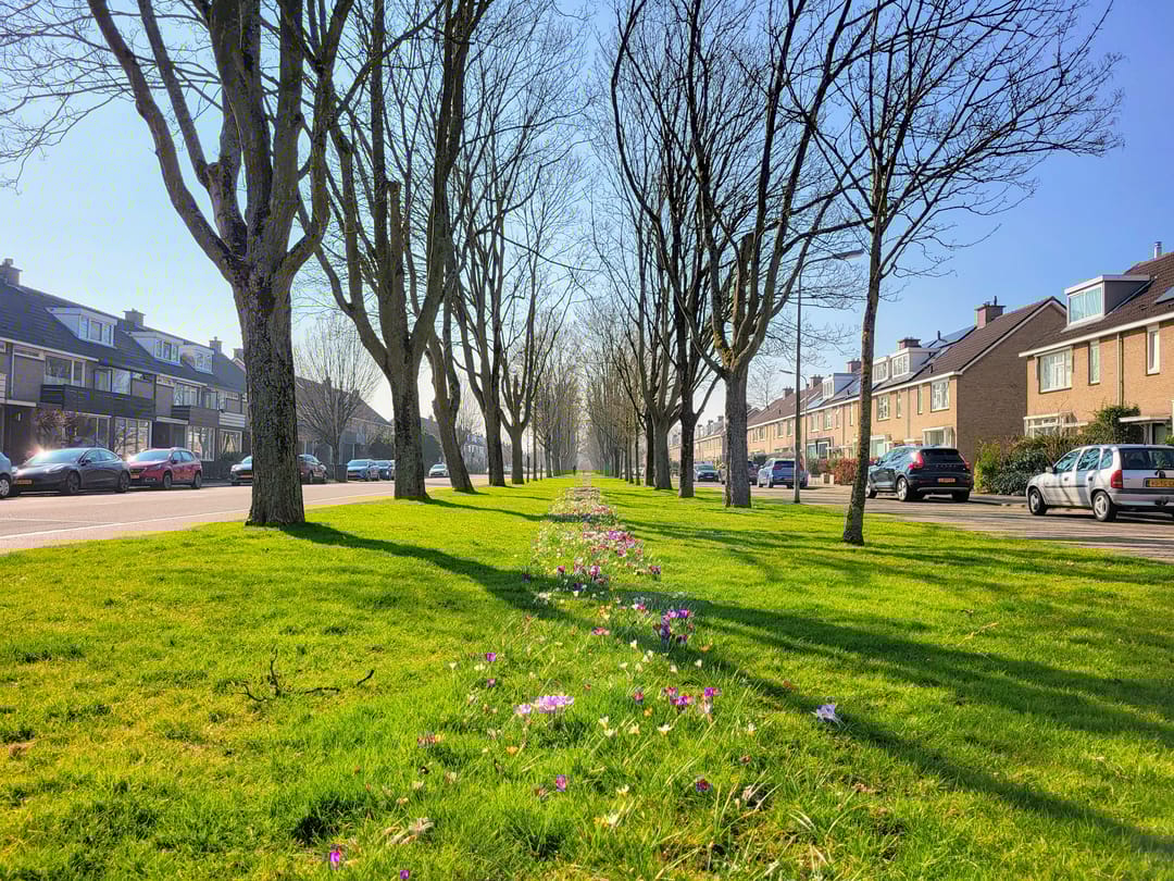 Foto 2 van Achterberglaan 29