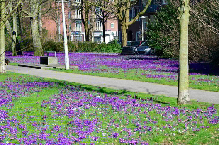 Foto 29 van Egidiusstraat 55-2